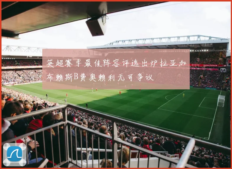 英超赛季最佳阵容评选出炉拉亚加布赖斯B费奥赖利无可争议